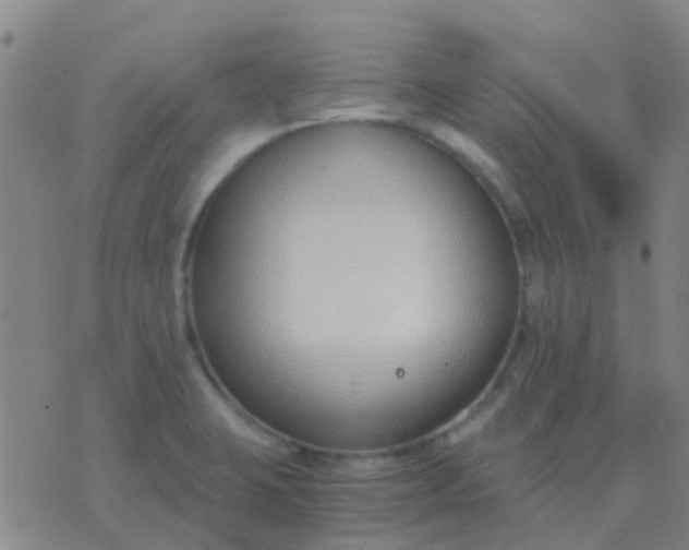 X0000076391423200610202053