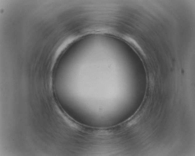 X0000076391424200610202053