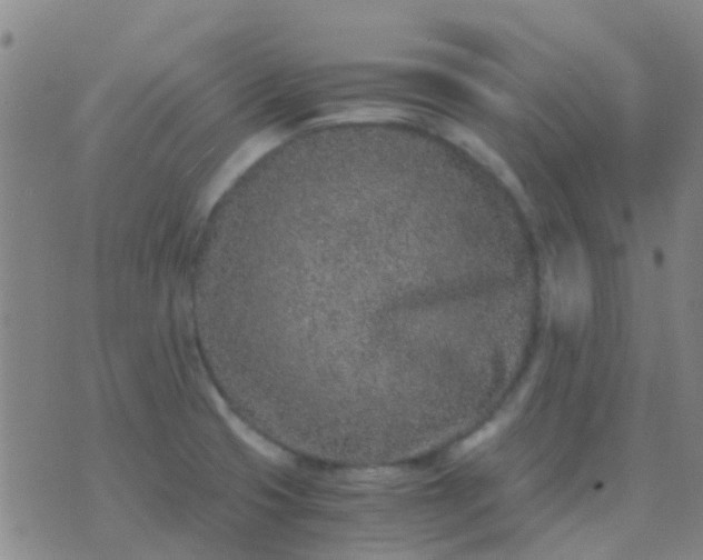 X0000076391425200610202053