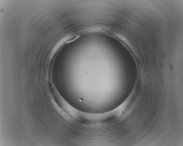 X0000076391426200610202053