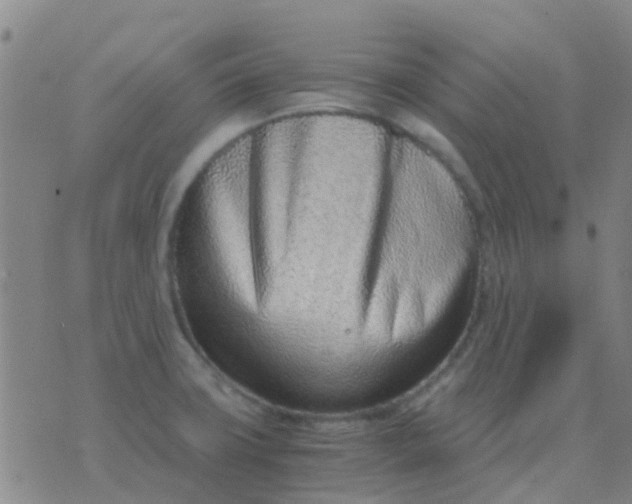 X0000076391427200610202053