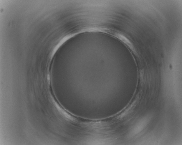 X0000076391428200610202053