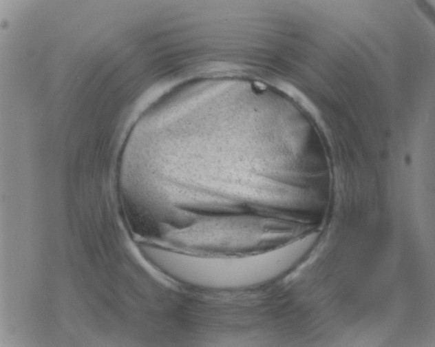 X0000076391429200610202053