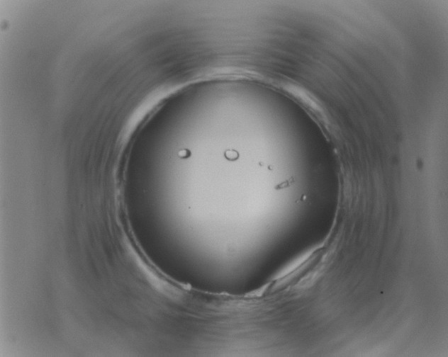 X0000076391430200610202053