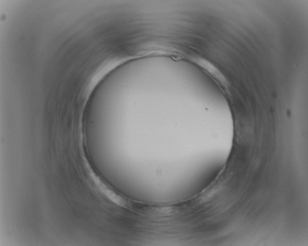 X0000076391431200610202053