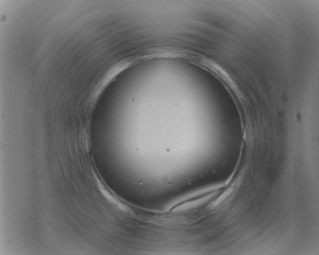 X0000076391433200610202053