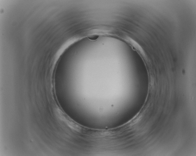 X0000076391435200610202053