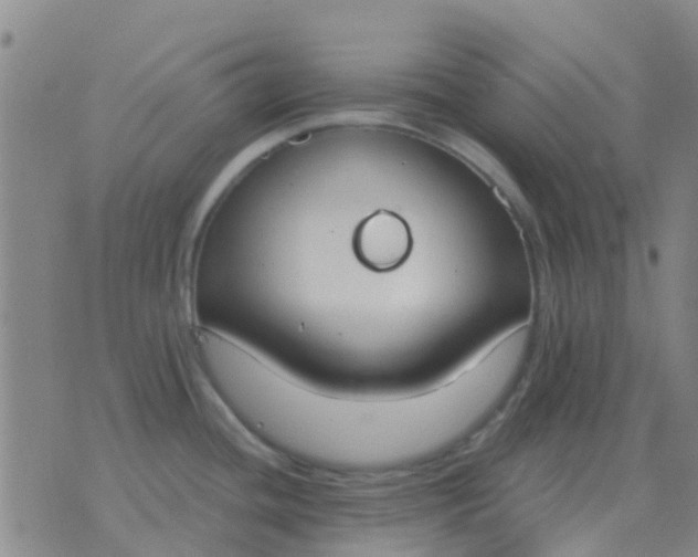 X0000076391436200610202053