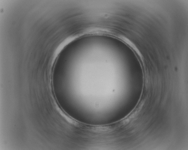 X0000076391437200610202053