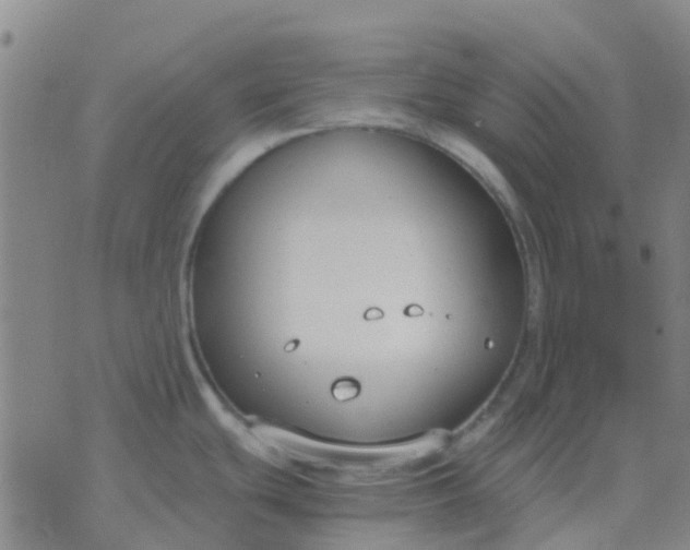 X0000076391439200610202053