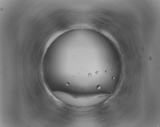 X0000076391440200610202053