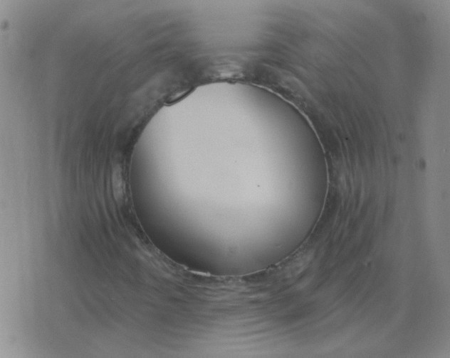 X0000076391442200610202052