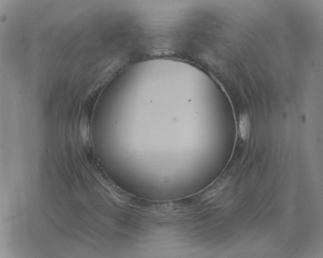 X0000076391444200610202052