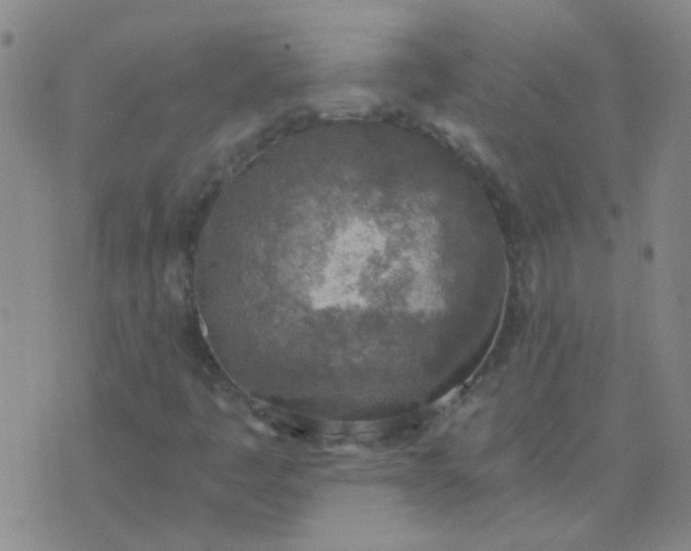 X0000076391445200610202052