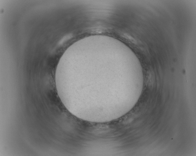 X0000076391446200610202052