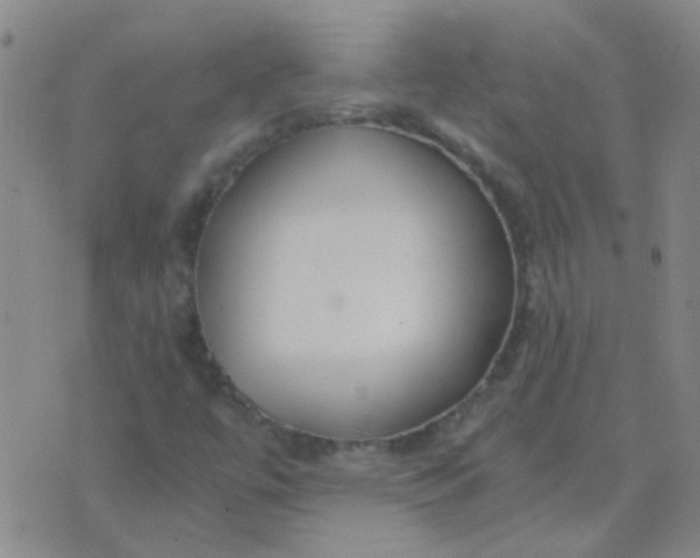 X0000076391447200610202052