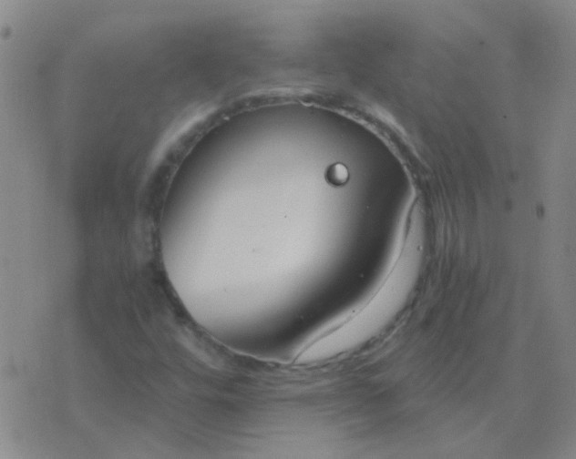 X0000076391448200610202052