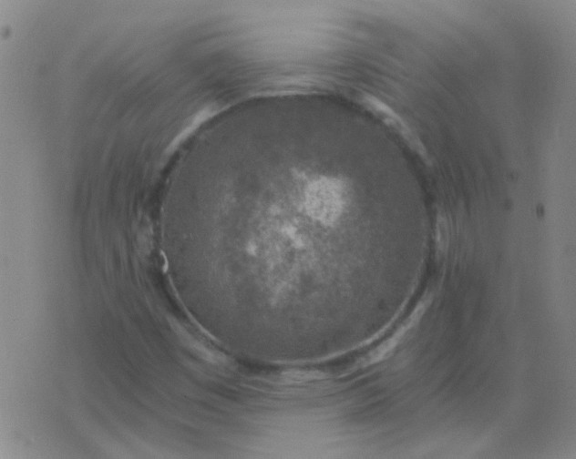 X0000076391449200610202052