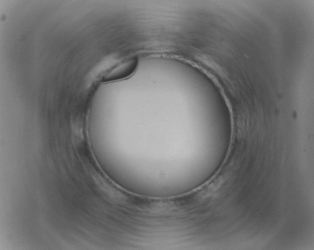 X0000076391451200610202052