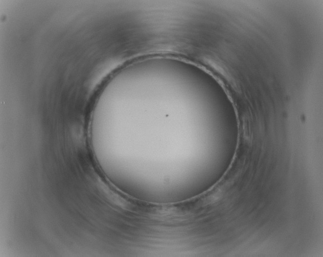 X0000076391452200610202052