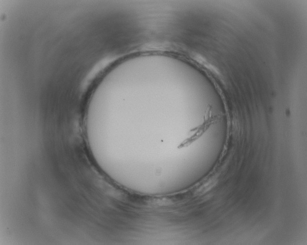 X0000076391454200610202052