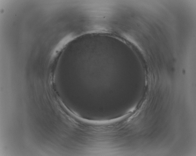 X0000076391455200610202052