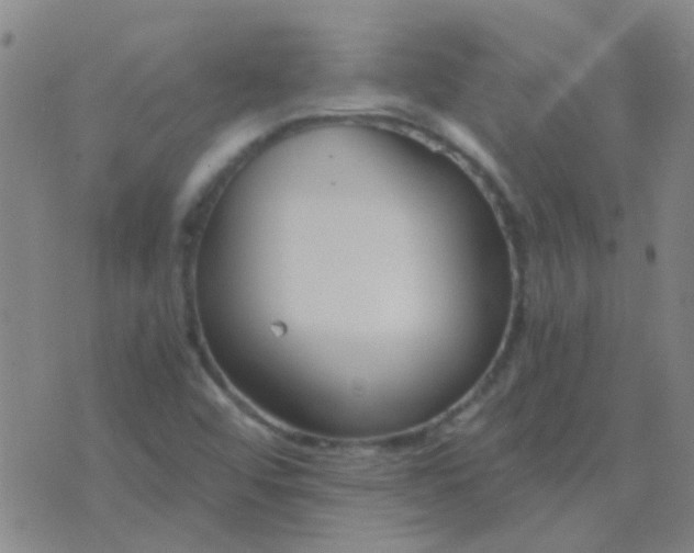 X0000076391456200610202052