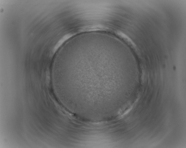 X0000076391457200610202052