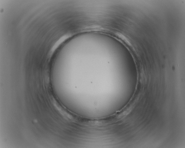 X0000076391458200610202052