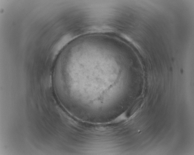 X0000076391459200610202052