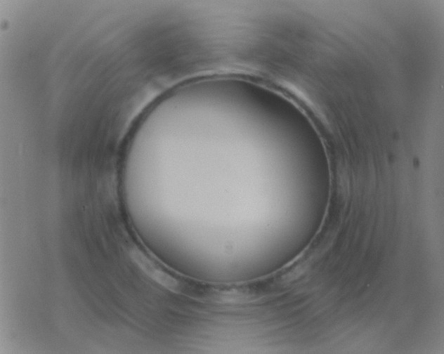 X0000076391460200610202052