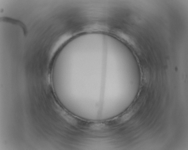 X0000076391462200610202052