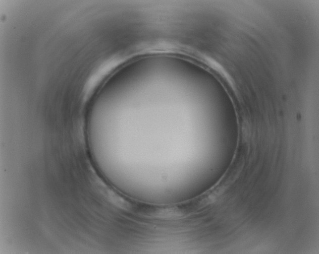 X0000076391464200610202052