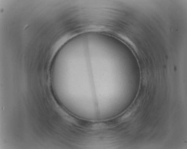 X0000076391467200610202052