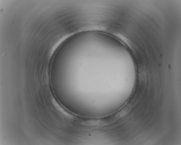 X0000076391468200610202052