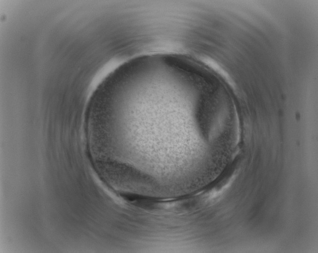 X0000076391469200610202052