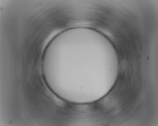 X0000076391470200610202052