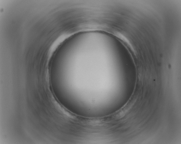 X0000076391472200610202052