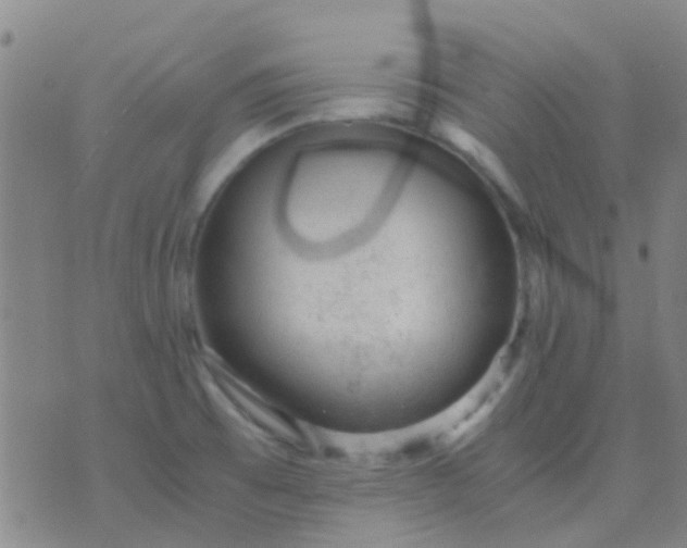 X0000076391473200610202052