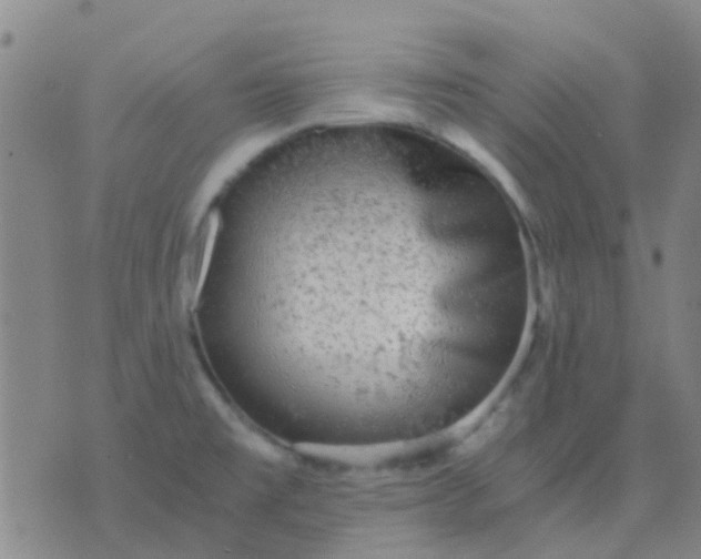 X0000076391477200610202052