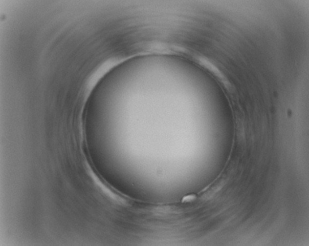 X0000076391479200610202052