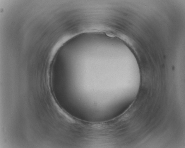 X0000076391480200610202052