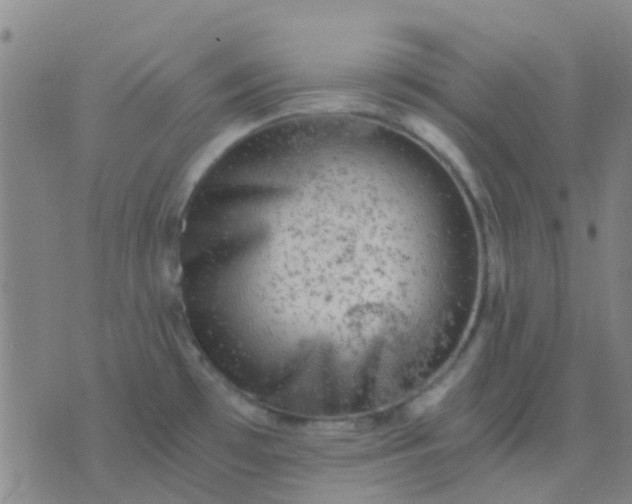 X0000076391481200610202052