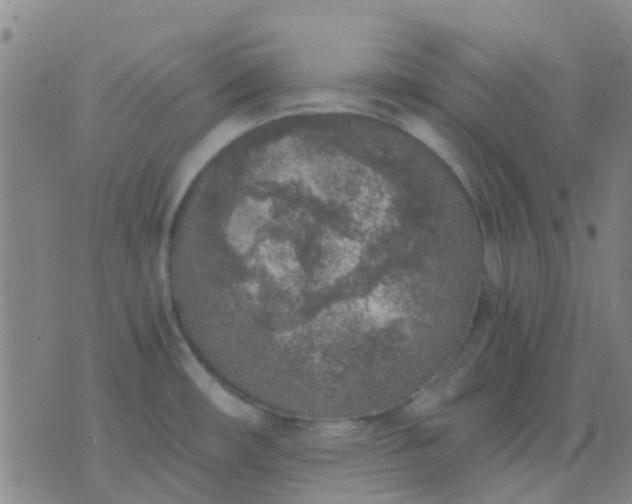 X0000076391482200610202052