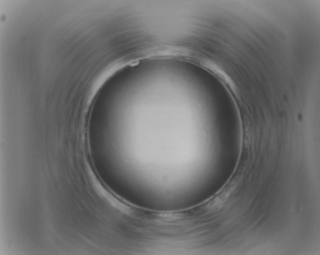 X0000076391483200610202052