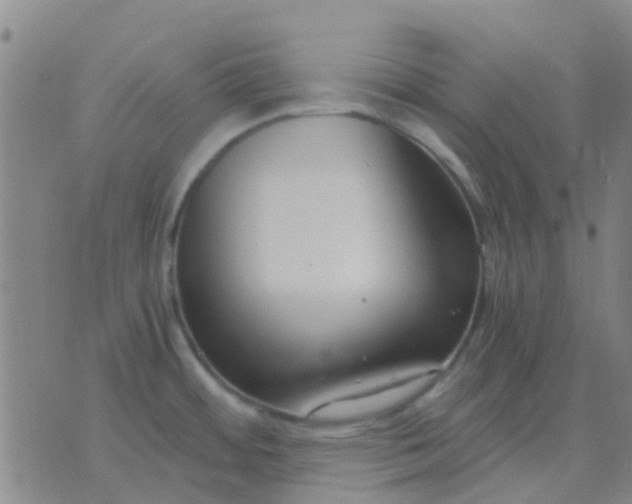 X0000076391484200610202052