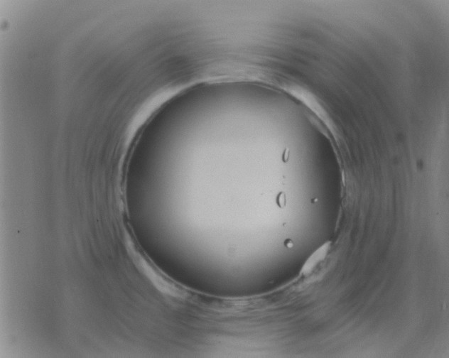 X0000076391485200610202052