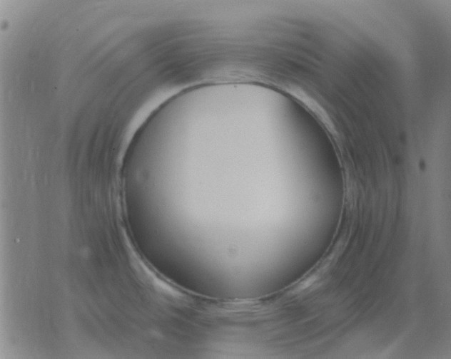 X0000076391486200610202052