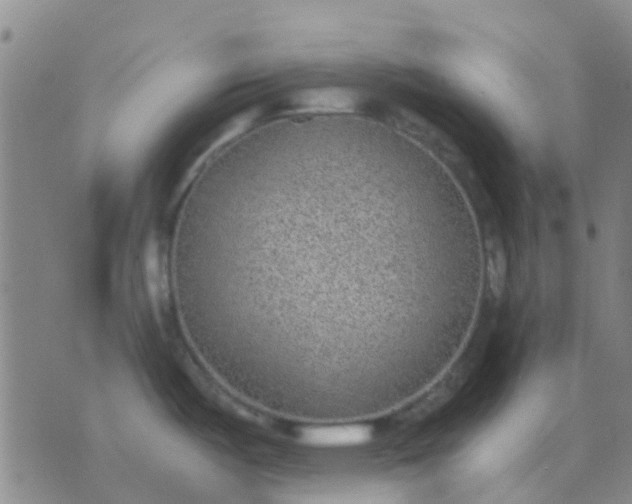 X0000076391487200610202052