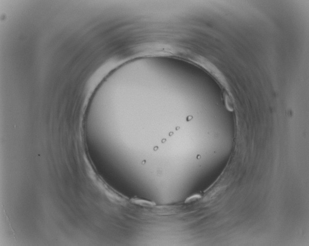 X0000076391488200610202052